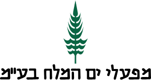מפעלי ים המלח