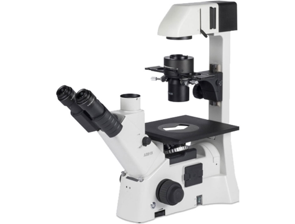 AE31E 100W Trinocular Inverted Microscope(Light Split: 20/80)