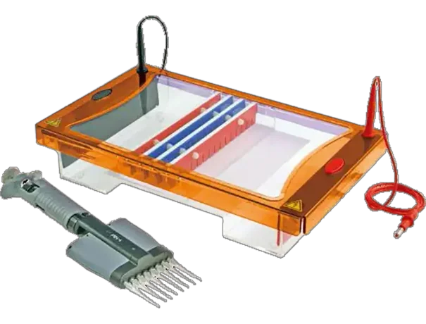 Maxi 20 x 10cm & 20 x 20cm UV Tray, 2 x 20 sample, 1mm thick combs, casting dams, loading guides