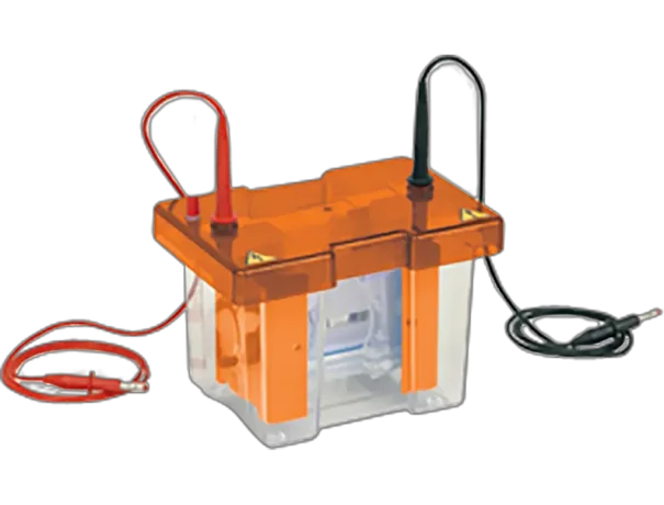 Mini Vertical Gel Electrophoresis Apparatus